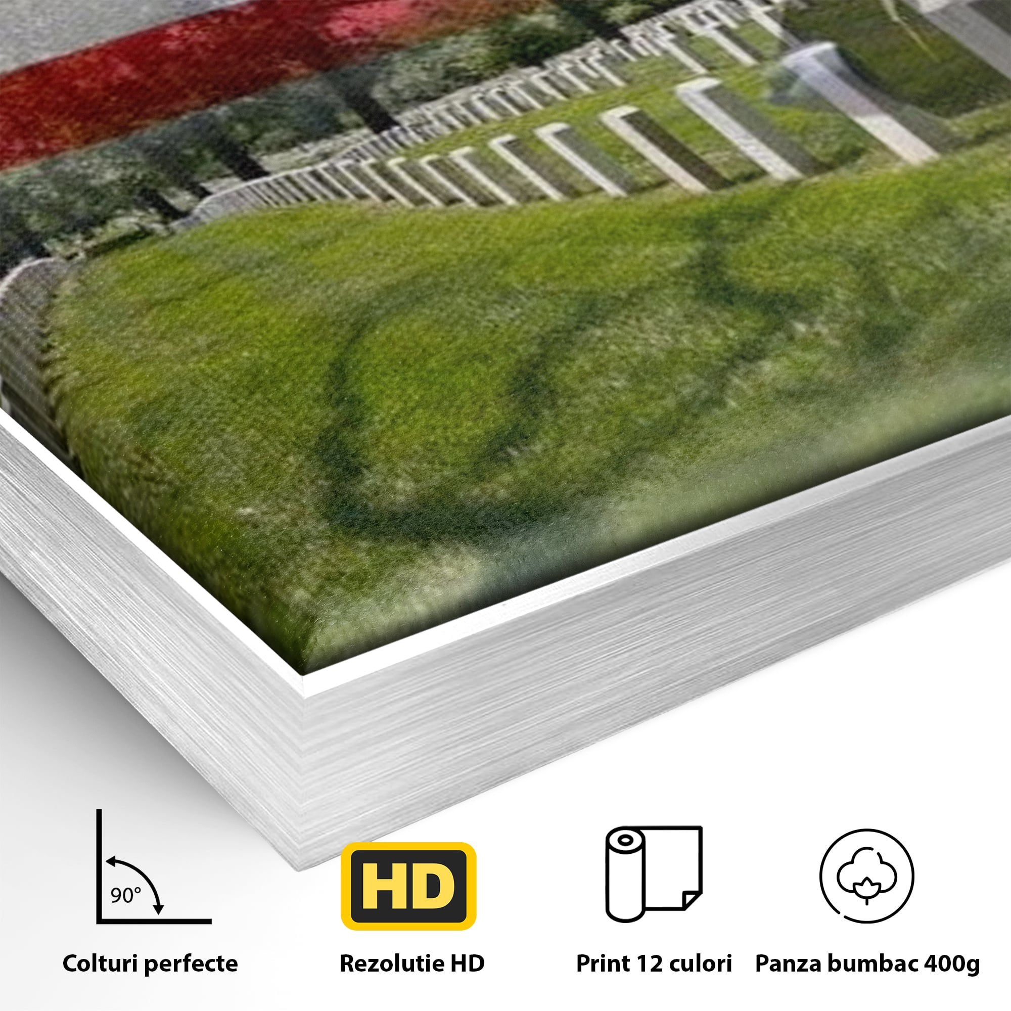 Detaliu al suprafetei: tablou canvas cu silueta de soldat si steagul sua, in rama de aluminiu argintiu